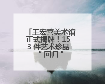 王宏喜美术馆正式揭牌！153 件艺术珍品 “ 回归 ” 连云港，并向市民免费开放