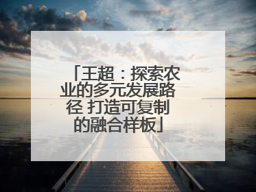 王超：探索农业的多元发展路径 打造可复制的融合样板