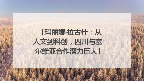 玛丽娜·拉古什：从人文到科创，四川与塞尔维亚合作潜力巨大