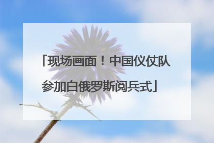 现场画面！中国仪仗队参加白俄罗斯阅兵式