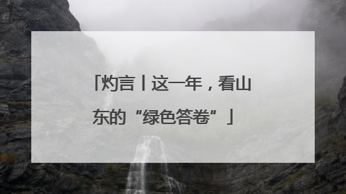灼言丨这一年，看山东的“绿色答卷”
