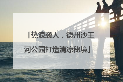 热浪袭人，德州沙王河公园打造清凉秘境