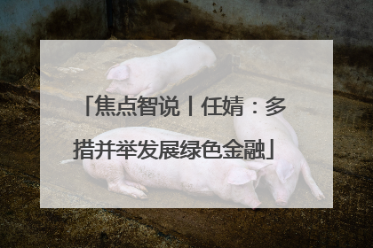 焦点智说丨任婧：多措并举发展绿色金融