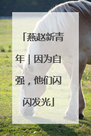 燕赵新青年｜因为自强，他们闪闪发光