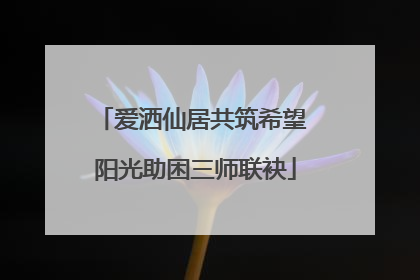 爱洒仙居共筑希望 阳光助困三师联袂