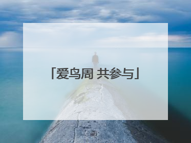 爱鸟周 共参与