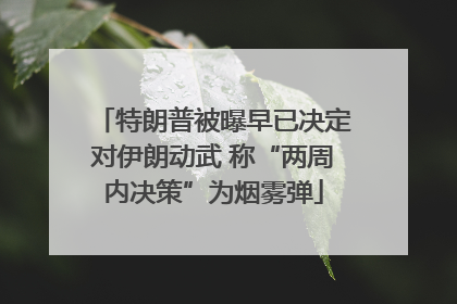 特朗普被曝早已决定对伊朗动武 称“两周内决策”为烟雾弹