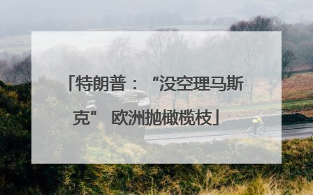 特朗普：“没空理马斯克” 欧洲抛橄榄枝