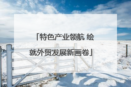 特色产业领航 绘就外贸发展新画卷