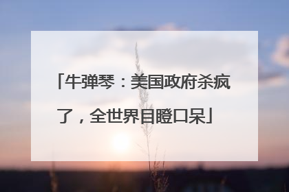 牛弹琴：美国政府杀疯了，全世界目瞪口呆