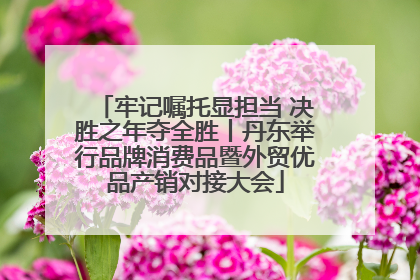 牢记嘱托显担当 决胜之年夺全胜丨丹东举行品牌消费品暨外贸优品产销对接大会
