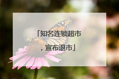 知名连锁超市，宣布退市