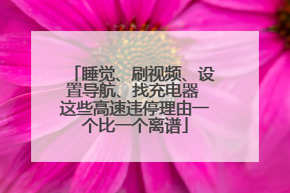 睡觉、刷视频、设置导航、找充电器 这些高速违停理由一个比一个离谱