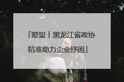 瞭望丨黑龙江省政协精准助力企业纾困