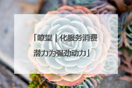 瞭望｜化服务消费潜力为强劲动力