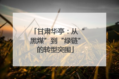 甘肃华亭：从“黑煤”到“绿链”的转型突围