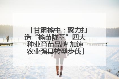 甘肃榆中：聚力打造“榆苗陇萃”四大种业育苗品牌 加速农业强县转型步伐