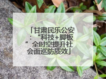 甘肃民乐公安：“科技+脚板”全时空提升社会面巡防质效