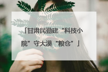 甘肃民勤建“科技小院”守大漠“粮仓”