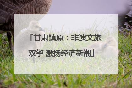 甘肃镇原：非遗文旅双擎 激扬经济新潮