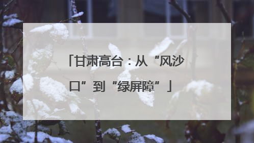 甘肃高台：从“风沙口”到“绿屏障”