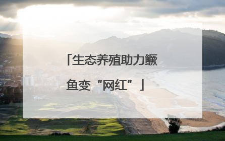 生态养殖助力鳜鱼变“网红”