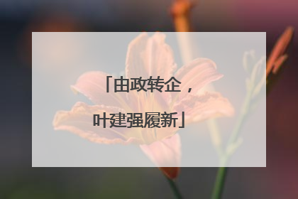 由政转企，叶建强履新