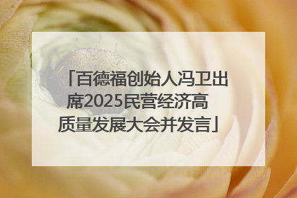 百德福创始人冯卫出席2025民营经济高质量发展大会并发言