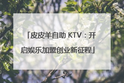 皮皮羊自助 KTV：开启娱乐加盟创业新征程