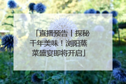 直播预告丨探秘千年美味！浏阳蒸菜盛宴即将开启