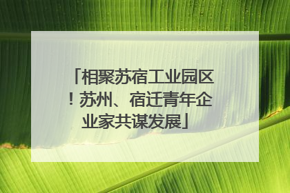 相聚苏宿工业园区！苏州、宿迁青年企业家共谋发展