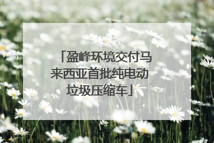 盈峰环境交付马来西亚首批纯电动垃圾压缩车