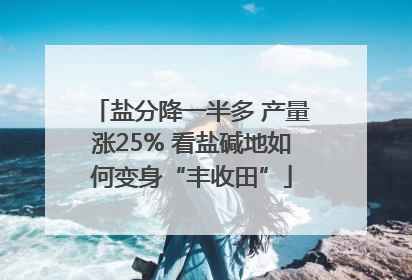盐分降一半多 产量涨25% 看盐碱地如何变身“丰收田”