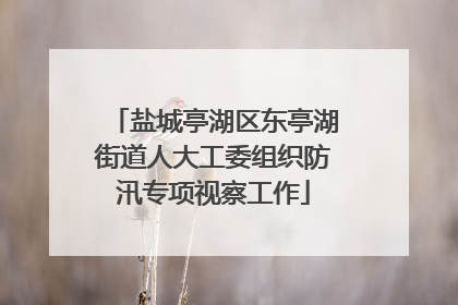 盐城亭湖区东亭湖街道人大工委组织防汛专项视察工作