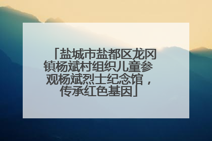 盐城市盐都区龙冈镇杨斌村组织儿童参观杨斌烈士纪念馆，传承红色基因