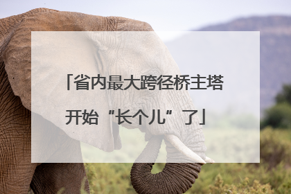 省内最大跨径桥主塔开始“长个儿”了