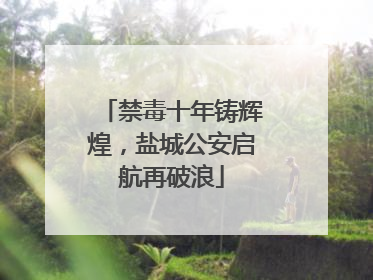 禁毒十年铸辉煌，盐城公安启航再破浪