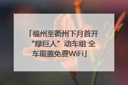 福州至衢州下月首开“绿巨人”动车组 全车覆盖免费WiFi