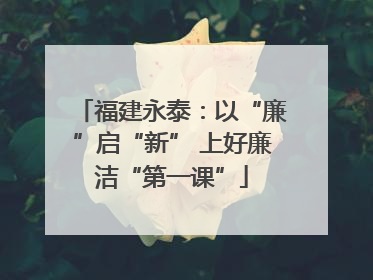 福建永泰：以“廉”启“新” 上好廉洁“第一课”