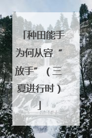 种田能手为何从容“放手”（三夏进行时）