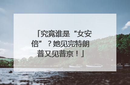 究竟谁是“女安倍”？她见完特朗普又见普京！