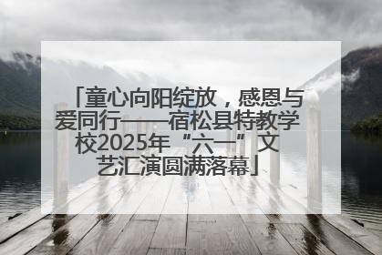 童心向阳绽放，感恩与爱同行——宿松县特教学校2025年“六一”文艺汇演圆满落幕