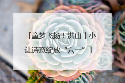 童梦飞扬！洪山十小让诗意绽放“六一”