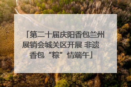 第二十届庆阳香包兰州展销会城关区开展 非遗香包“粽”情端午
