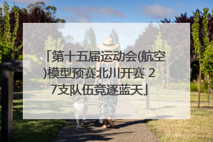 第十五届运动会(航空)模型预赛北川开赛 27支队伍竞逐蓝天