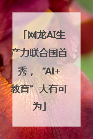网龙AI生产力联合国首秀，“AI+教育”大有可为