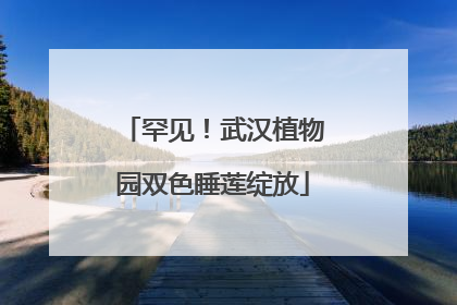 罕见！武汉植物园双色睡莲绽放