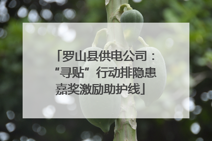 罗山县供电公司：“寻贴”行动排隐患 嘉奖激励助护线