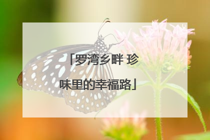 罗湾乡畔 珍味里的幸福路