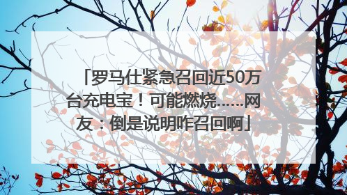 罗马仕紧急召回近50万台充电宝！可能燃烧……网友：倒是说明咋召回啊